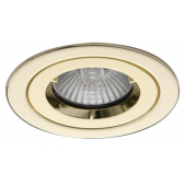 iCAGE 50W F/RATED DOWNLIGHT BRASS